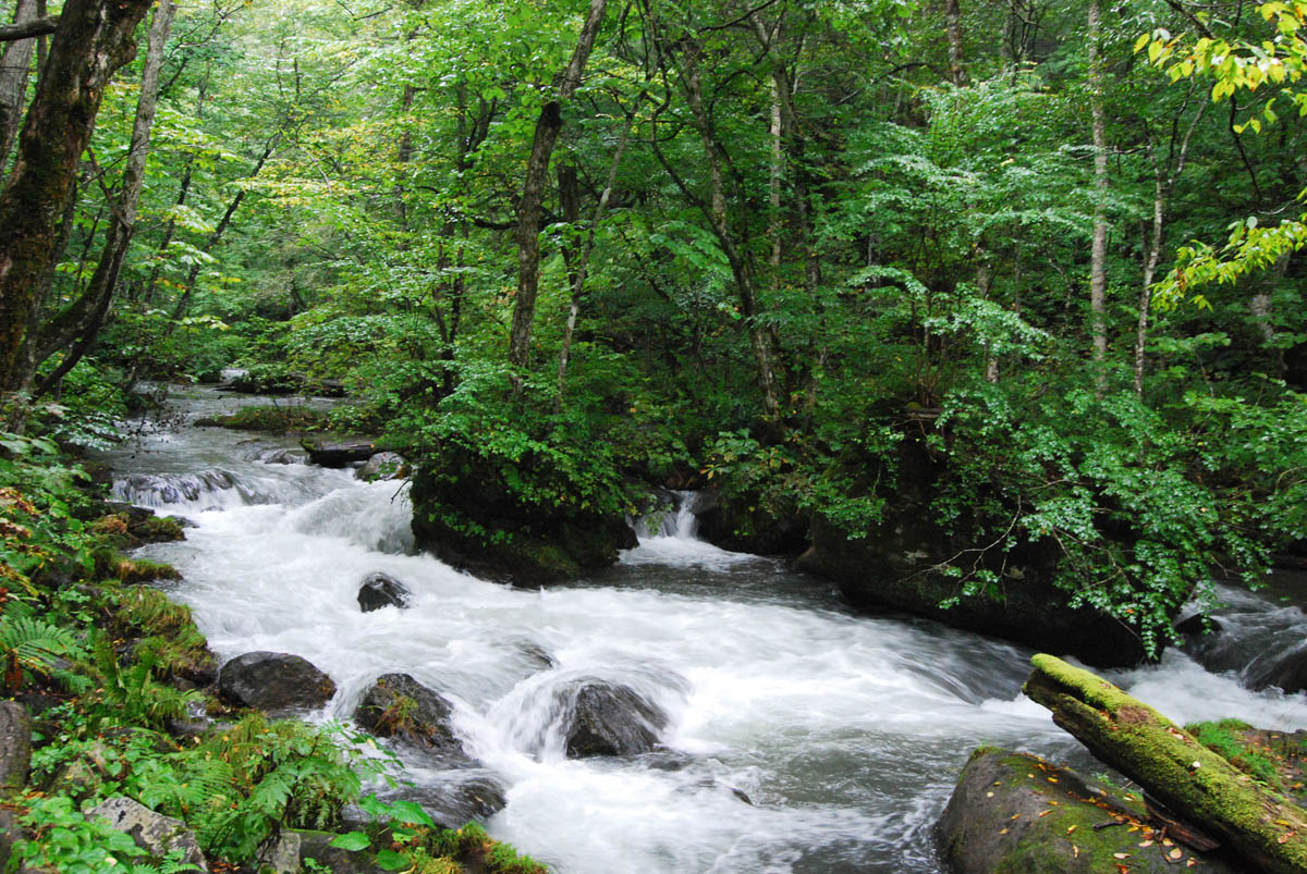 Japanese Countryside Oirase mountain stream