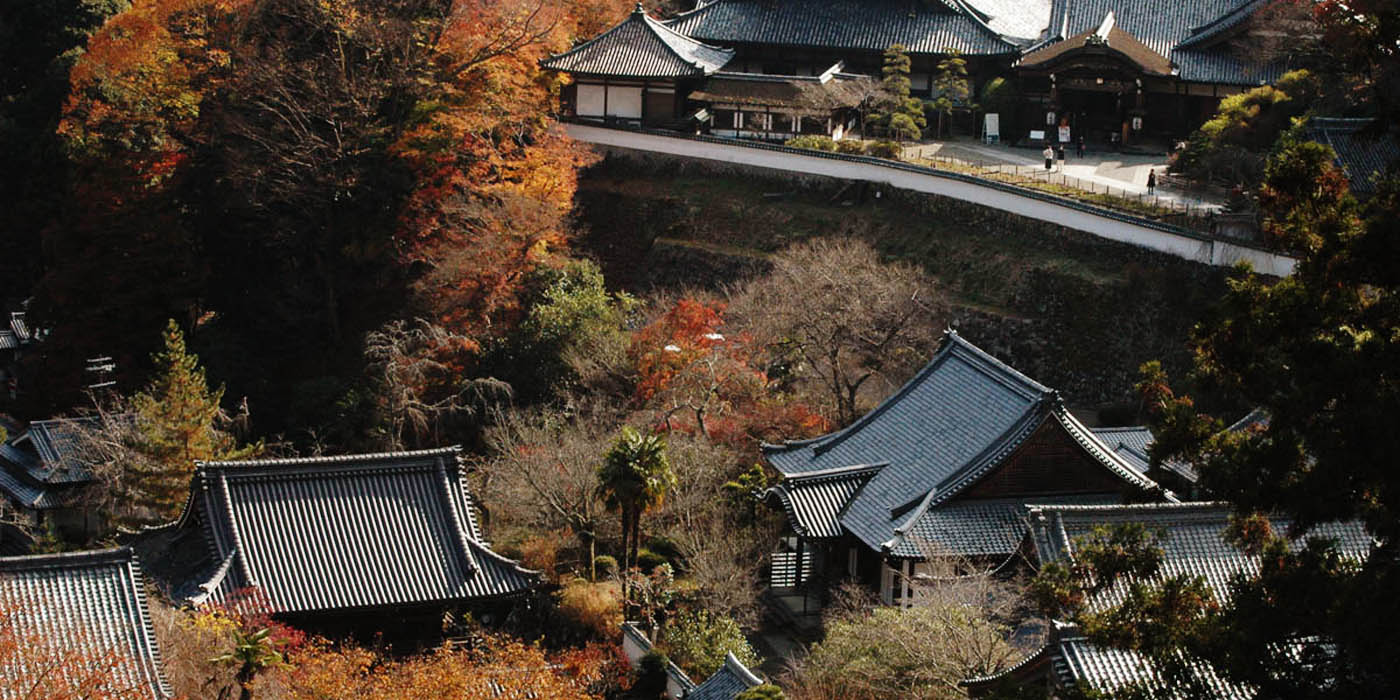 Japanese Countryside Meditation Trip to Japan