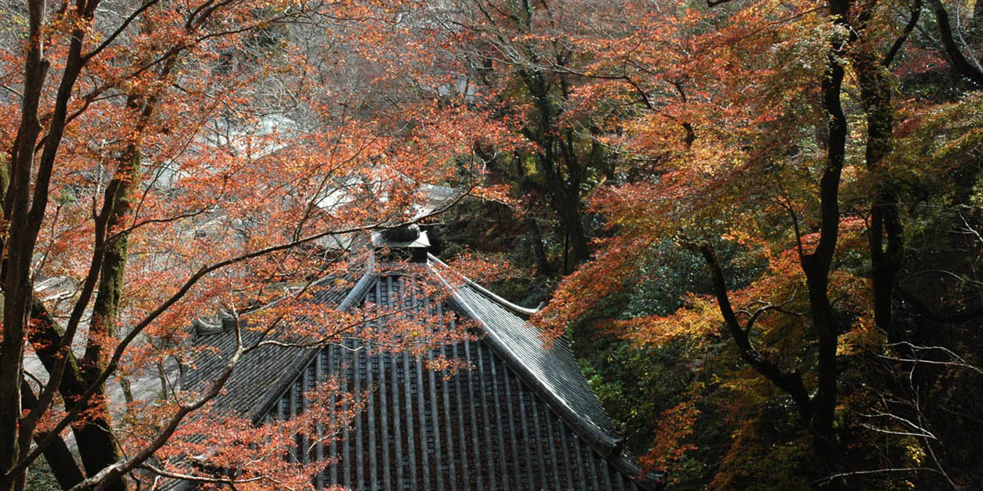 Japanese Countryside Meditation Trip to Japan