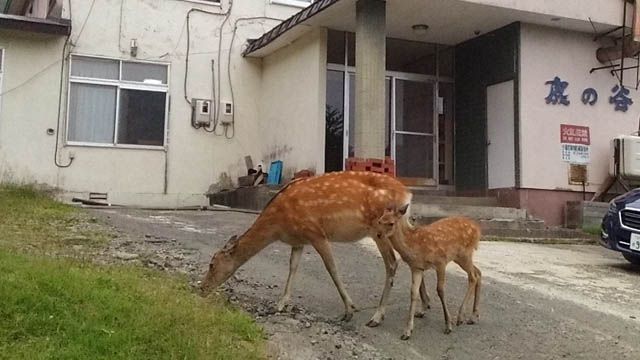 Horoka Onsen wellness, Hokkaido