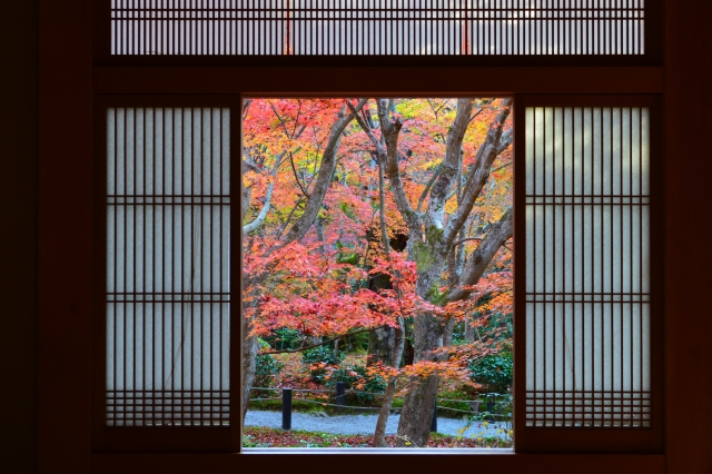 Zaen Wellness Trip to Japan