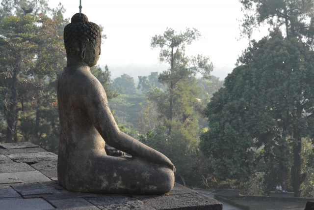 Zen Wellness Trip to Japan